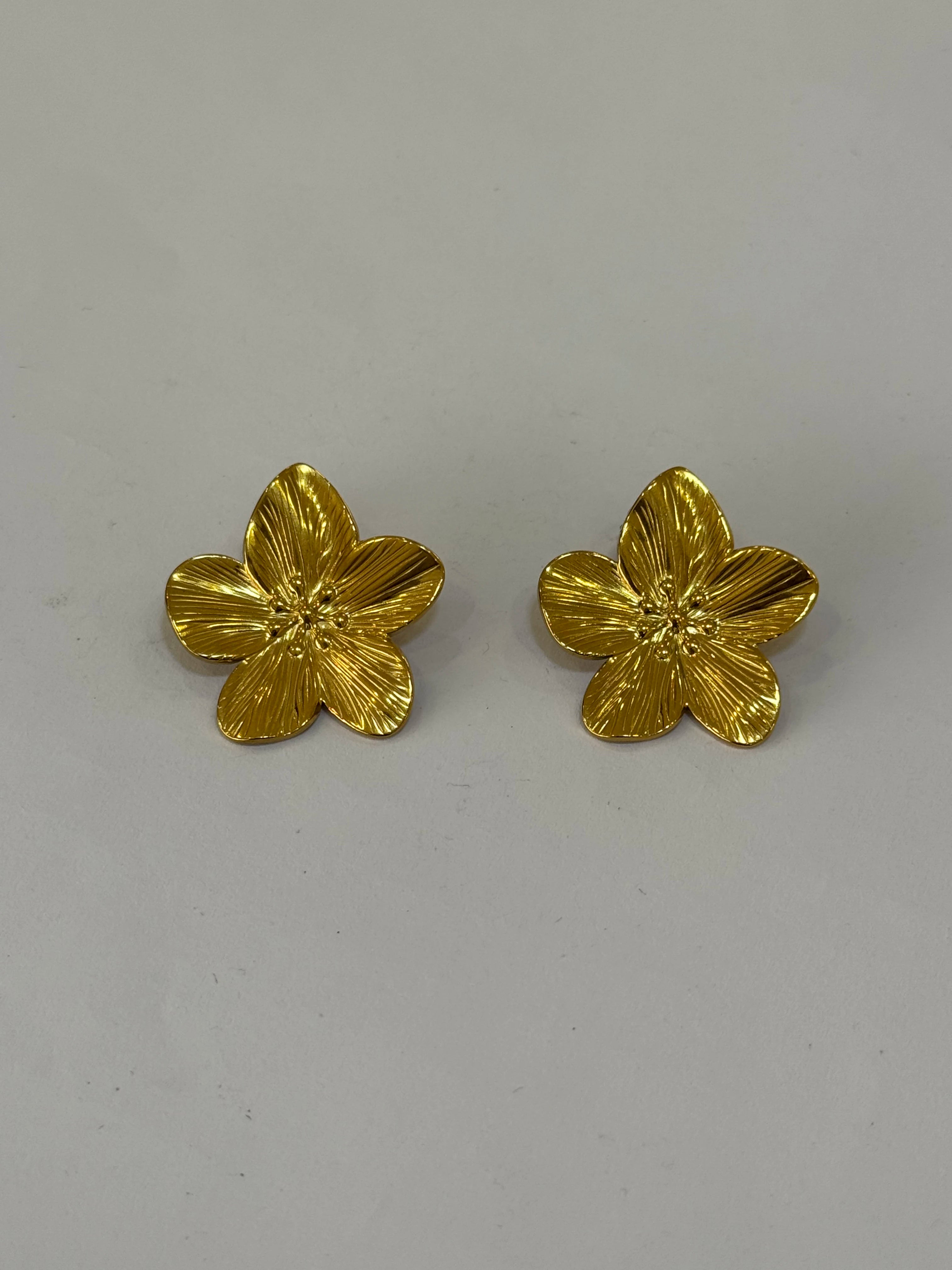 Aretes Acero Inoxidable 18k - 81 - aretes Mundo Chic
