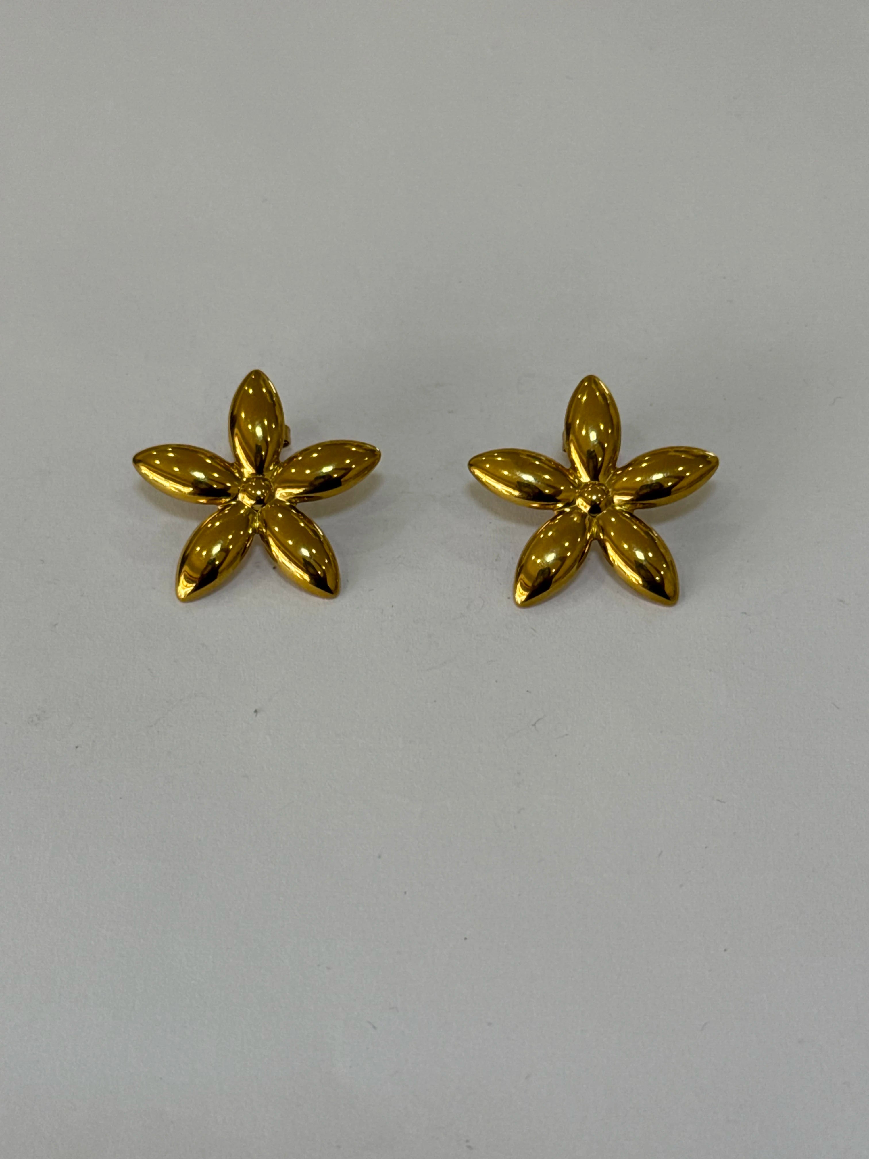 Aretes Acero Inoxidable 18k - 76 - aretes Mundo Chic